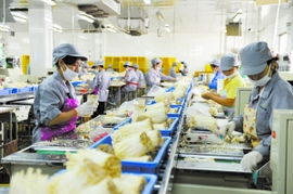 通州借勢打造食用菌產業帶，構筑菌種進出口新高地